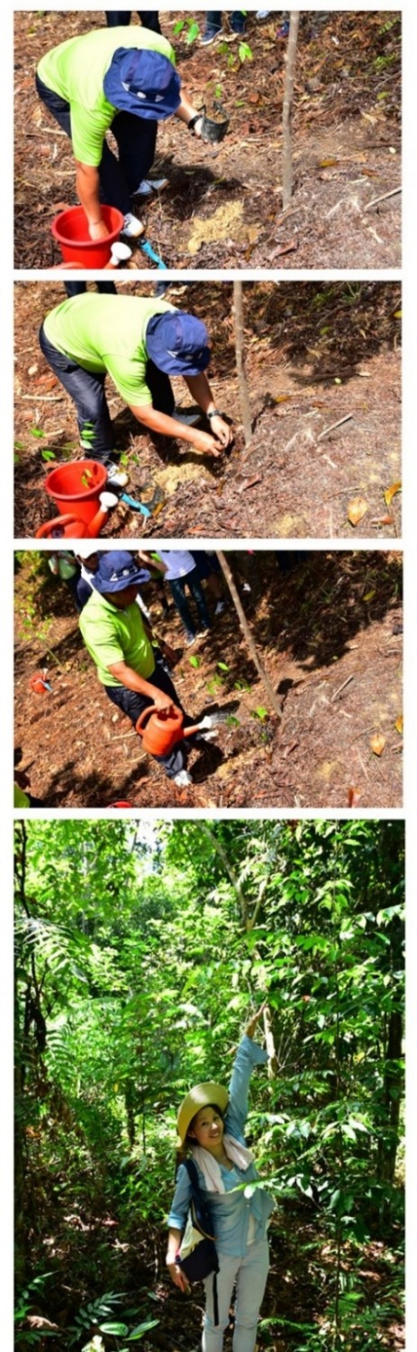JAC Recruitment Hong Kong - PPP Tour Planting Efforts JA